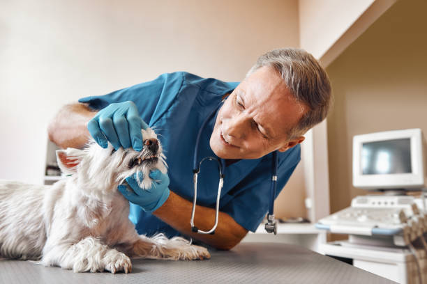 Best Weekend Emergency Dentist in San Leon, TX