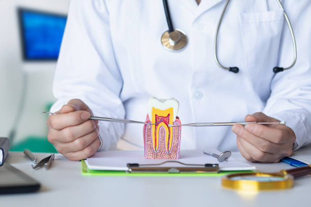 Best Pediatric Emergency Dentist in San Leon, TX